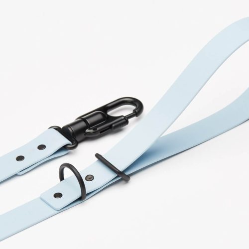 leash blue 3