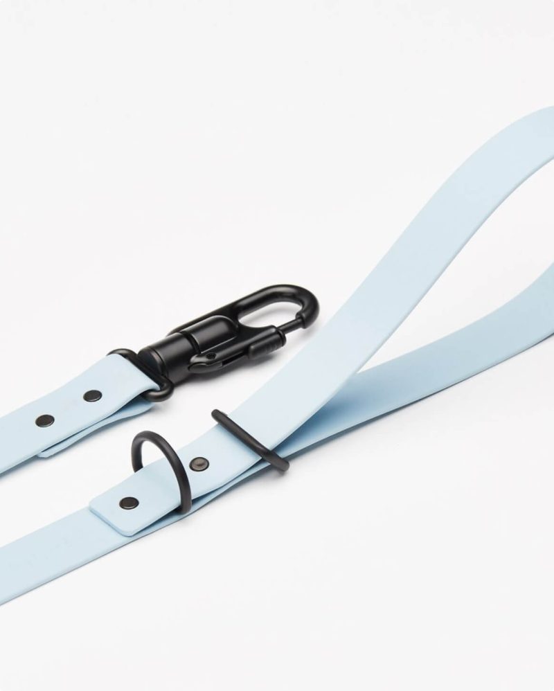 leash blue 3