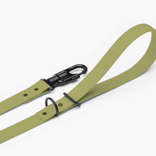 leash green 3