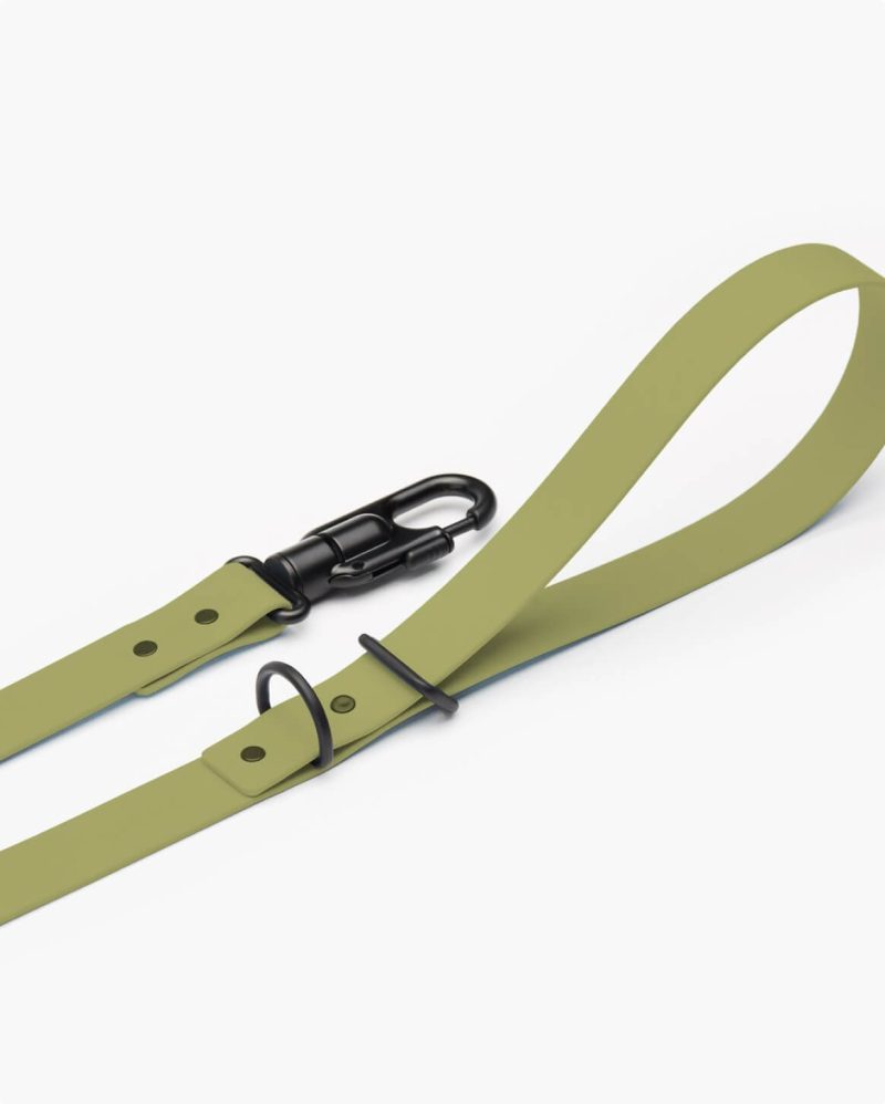 leash green 3