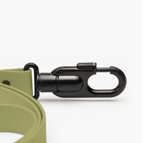 leash green 4