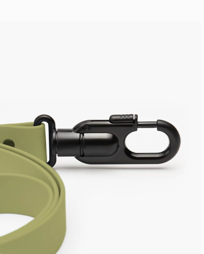 leash green 4